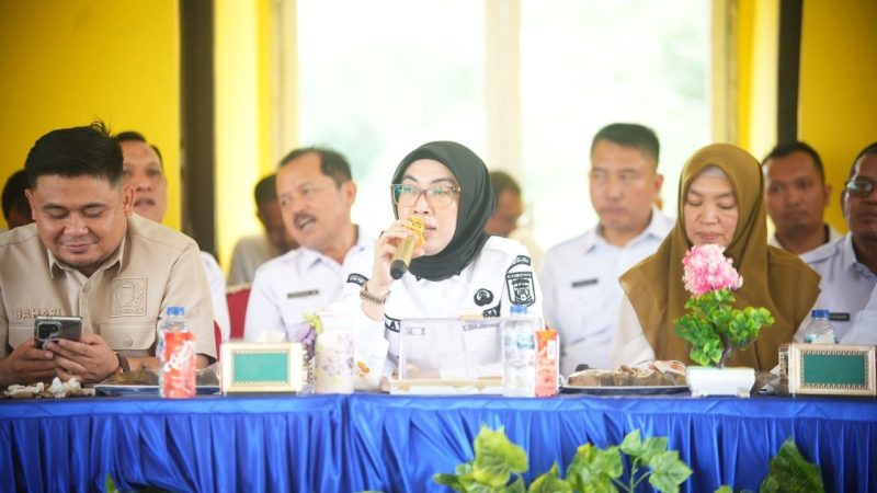 Lima Kampung Masih Berkembang, Bupati Waykanan Ayu Asalasiyah Soroti Way Tuba