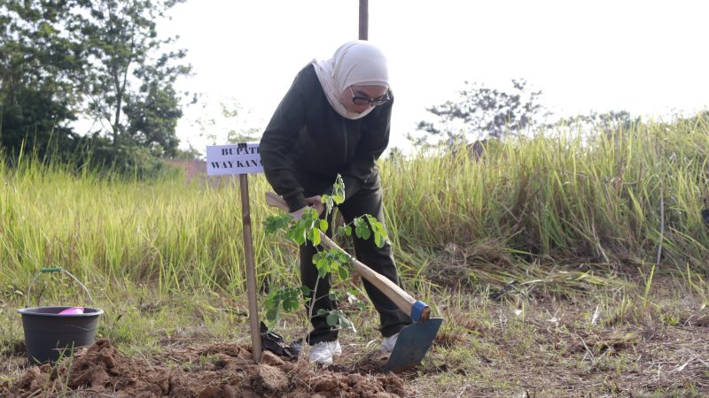 Bupati Way Kanan Pimpin Gerakan Bersih dan Tanam Pohon